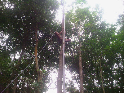 Image_00034 9M4RAC Repeater Maintenance