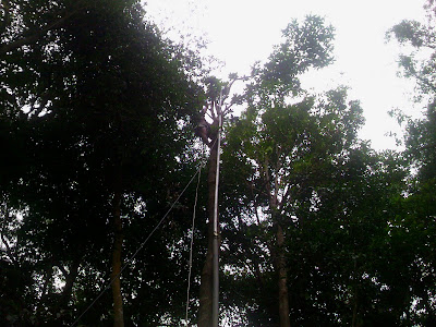 Image_00035 9M4RAC Repeater Maintenance