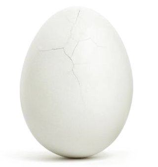 [egg_cracked.jpg]