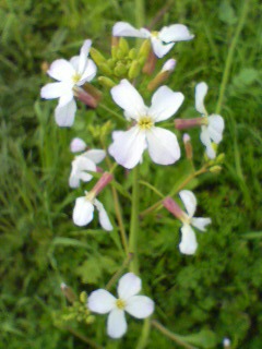 [20100314144024-791345.jpg]