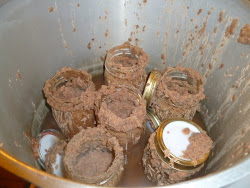 canning canner beans pressure revolution things rural invincible recipes shouldn preserving explode jars canned usda pinto preservation should lid canners
