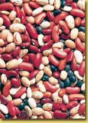 [dry_beans.jpg]