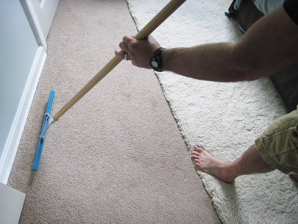 This Fresh Fossil Home Maintenance Carpet Rakes