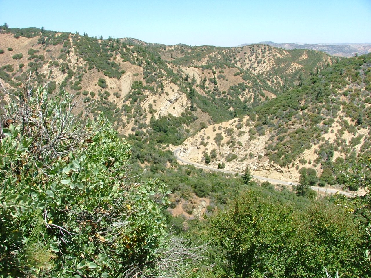 [DSCF1370_134.JPG]