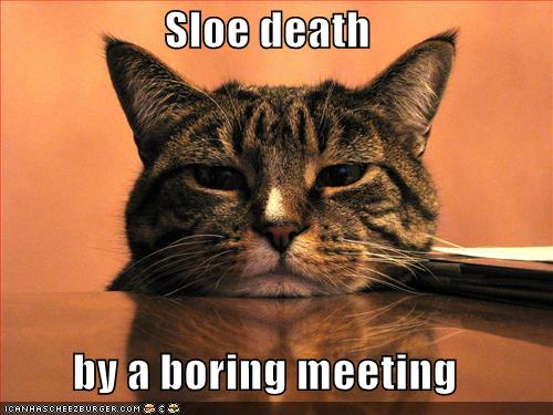 [funny-pictures-cat-sleeps-boring-meeting.jpg]