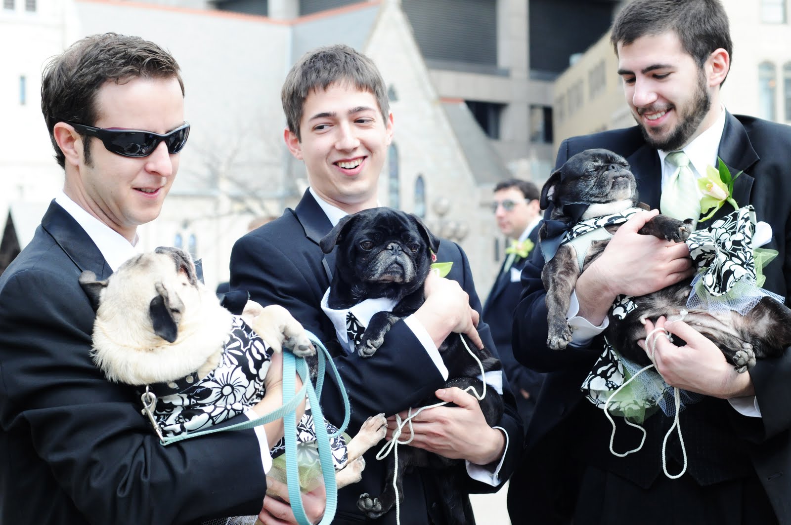 Miss Pug's Pawfect Wedding: Our Pawfect Wedding: Pugs & Us