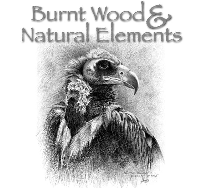 Burnt Wood and Natural Elements