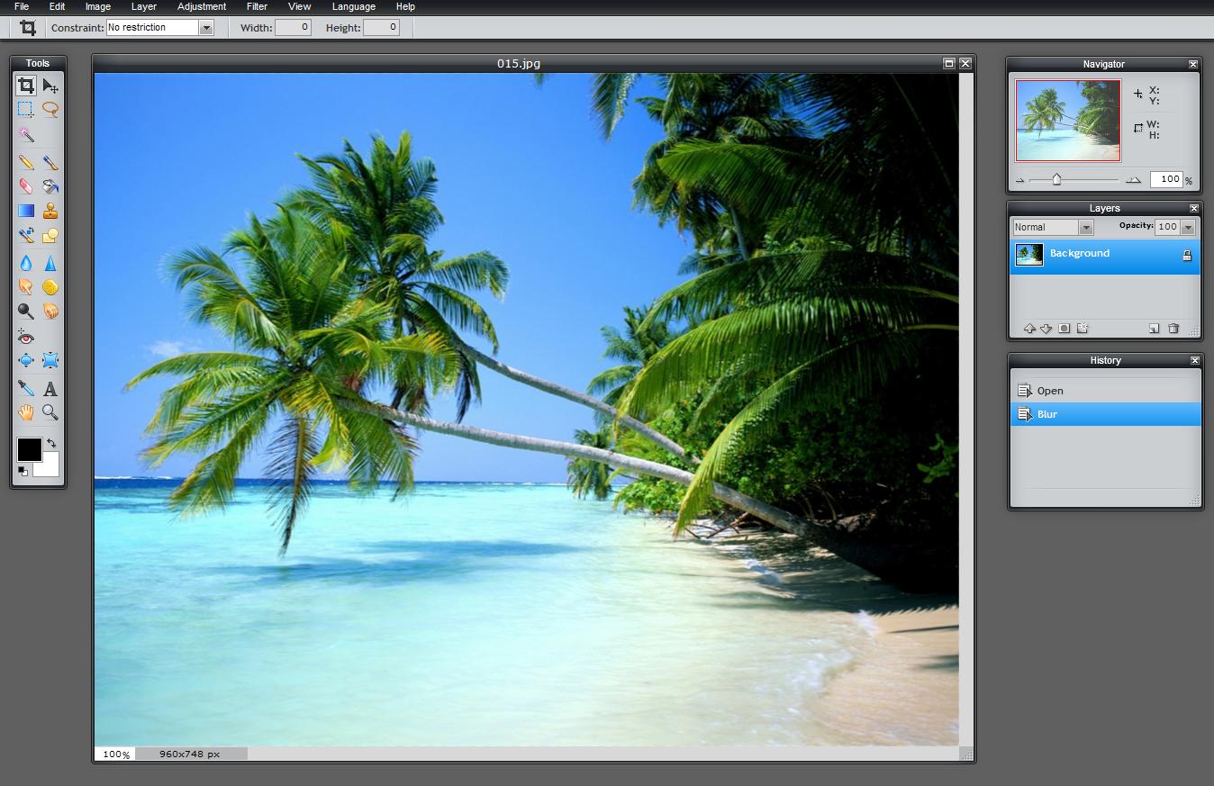 Free Online Photo Editing by Pixlr CUBICRACE