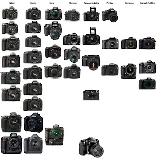Digital-SLR-Cameras