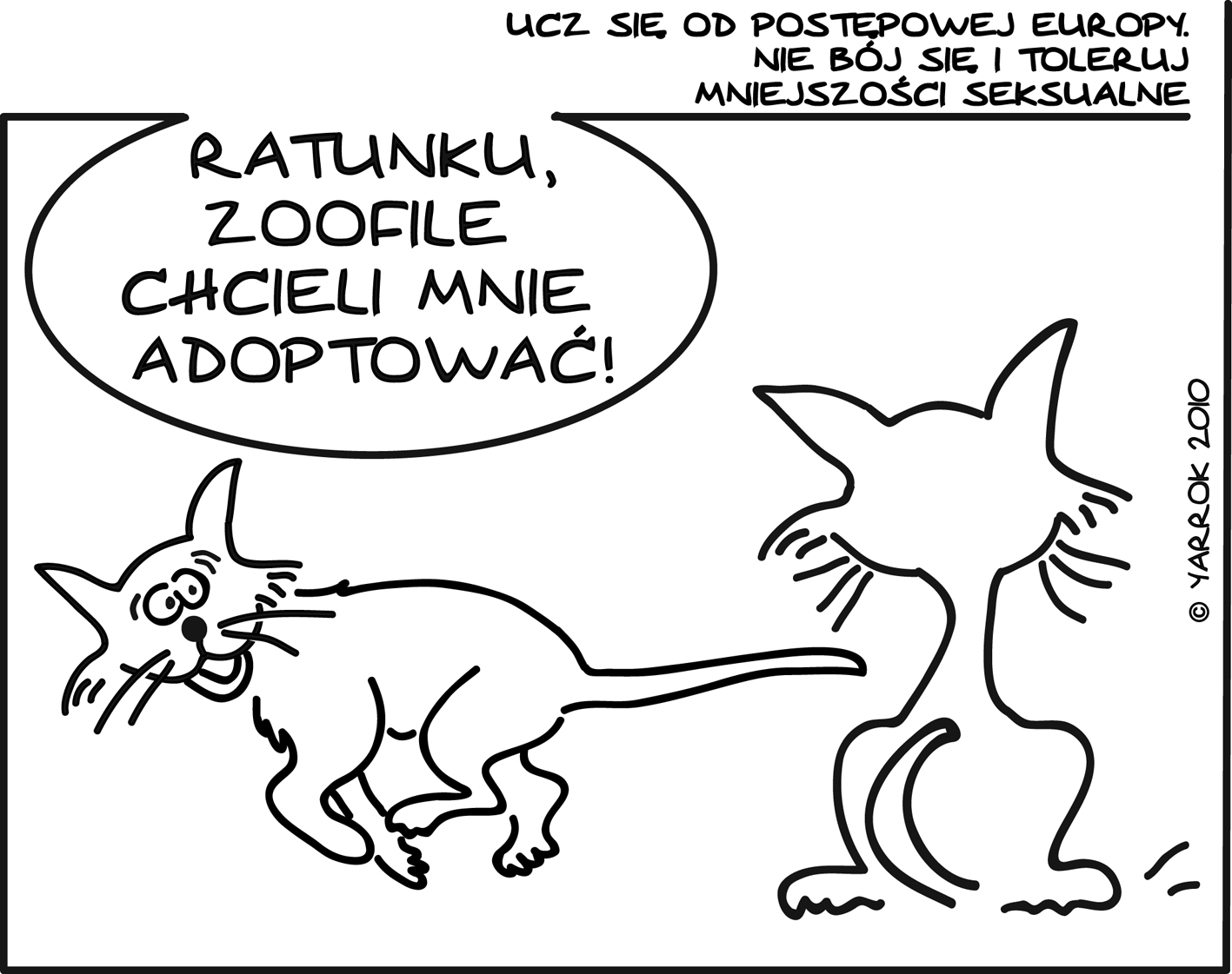 [kotzrywka2.jpg]