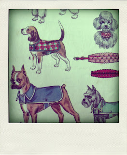 Fleece Dog Coat Pattern - Free Pattern Cross Stitch