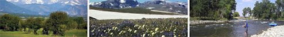 eriuqs spires healthy recreation