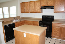 New Counters! Island & Pantry!