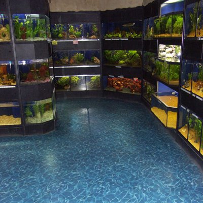 PJ'S Pet Centre