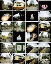 My Flickr PhotoStream