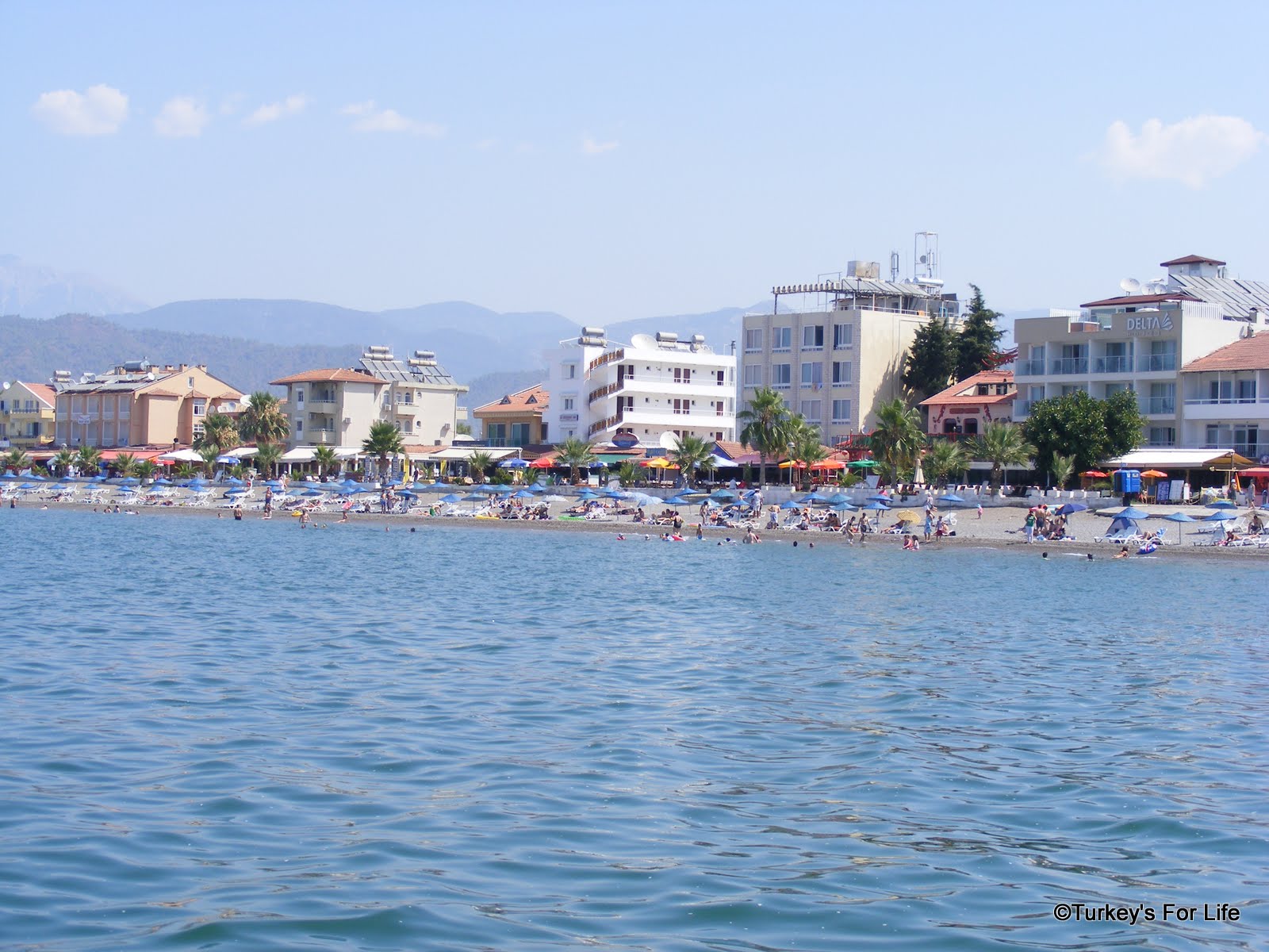 Kurban Bayram in Turkey • Turkey's For Life