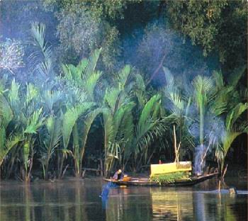 Sundarban S Informantions And Travel Tips