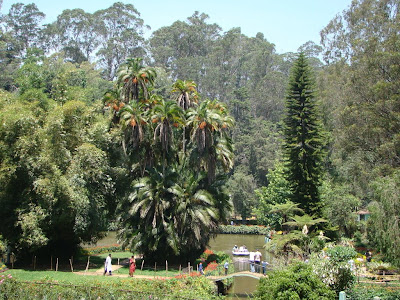 Sim's park in Coonoor