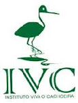 IVC - Conheça e Participe