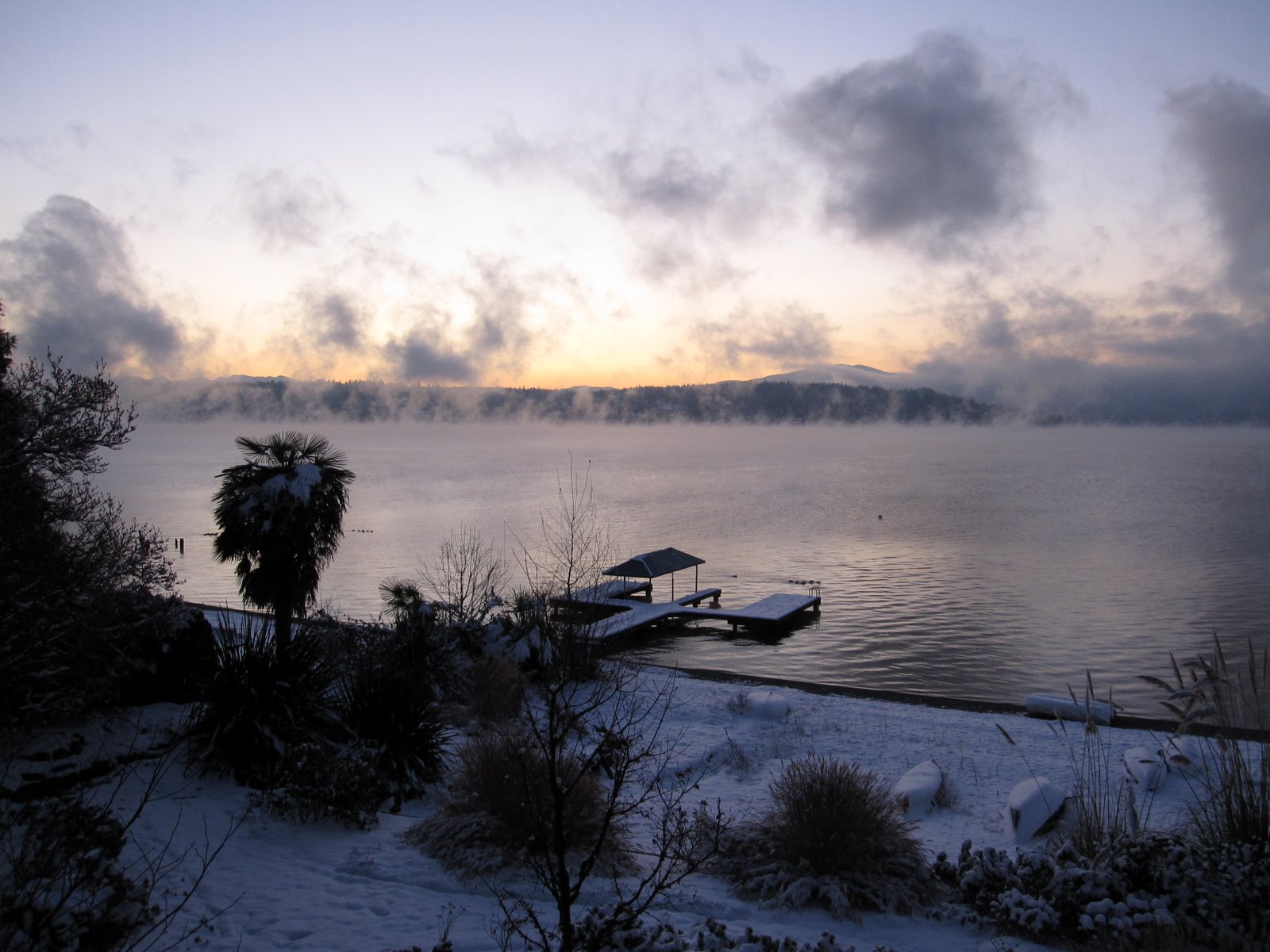 [IMG_0239.JPG]