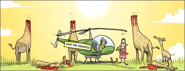 [strange-situation.jpg]