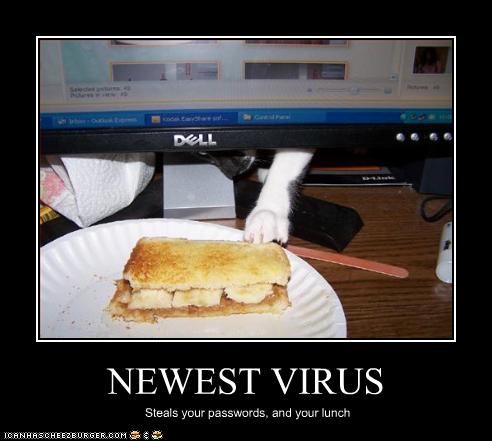 [funny-pictures-you-have-a-new-virus.jpg]