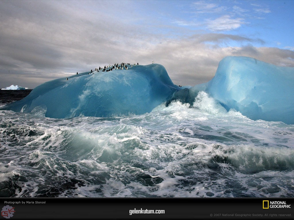 [blue-iceberg-1038933-lw.jpg]