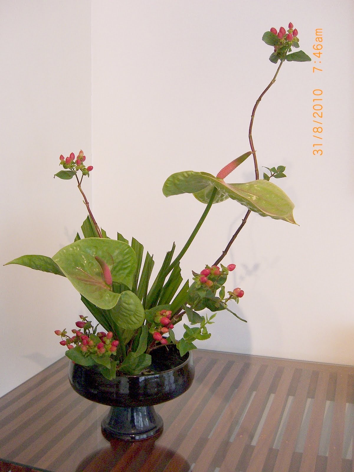 Ikebanas Dayse Minhas Ikebanas