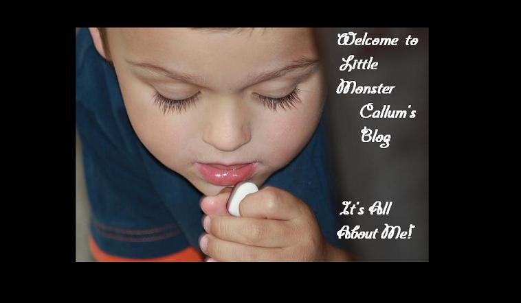 Welcome To Little Monster Callum's Blog