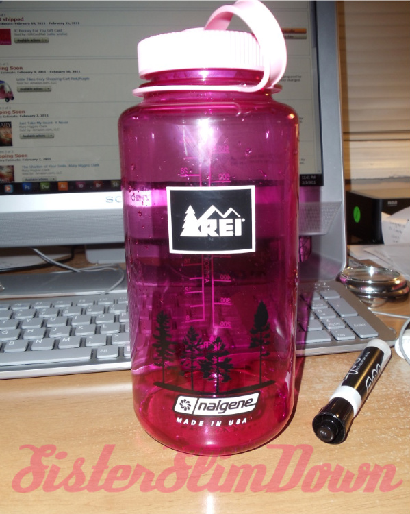 SISTER SLIM DOWN The Nalgene Bottle, My Hot New Gym Accessory By