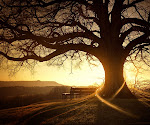 A beautiful picture