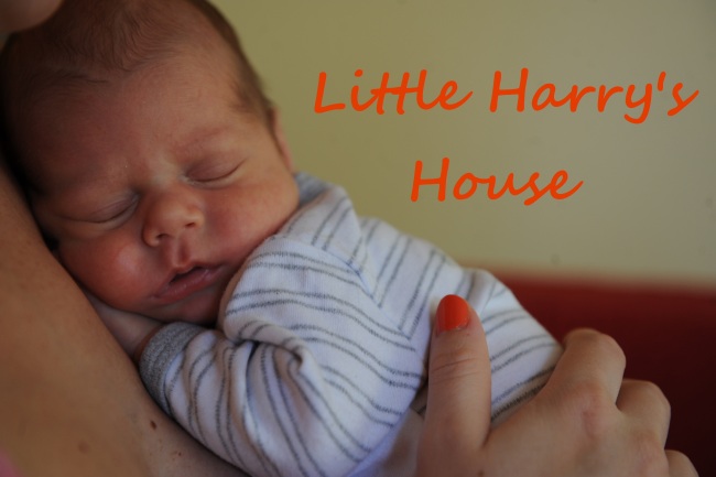 Little Harry's House