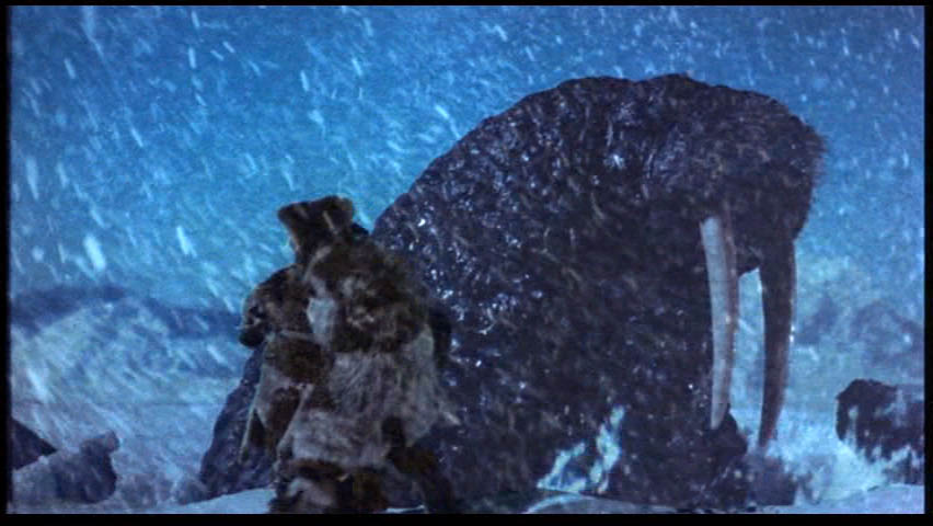 Less Hat Moorhead: TUSK TUSK