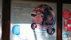 Monkey Warning