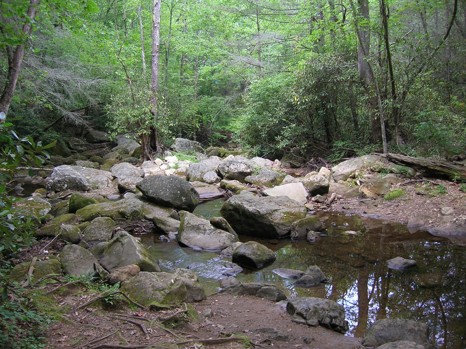 [DSCN2790.JPG]