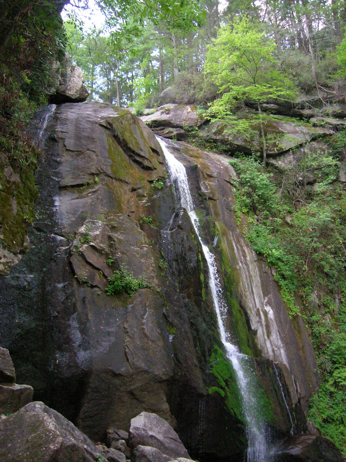 [DSCN2710.JPG]