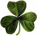 Dia de Irlanda, St. Patrick