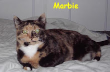 My Cat, Marbie