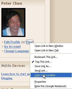 Blogger Profile URL