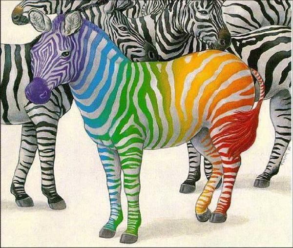 [colorful+zebra.jpg]