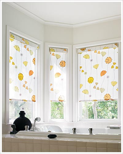 [smithnoble.rollershade.jpg]