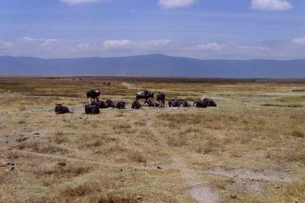 [SNV30711-Ngorongoro-Crater.jpg]