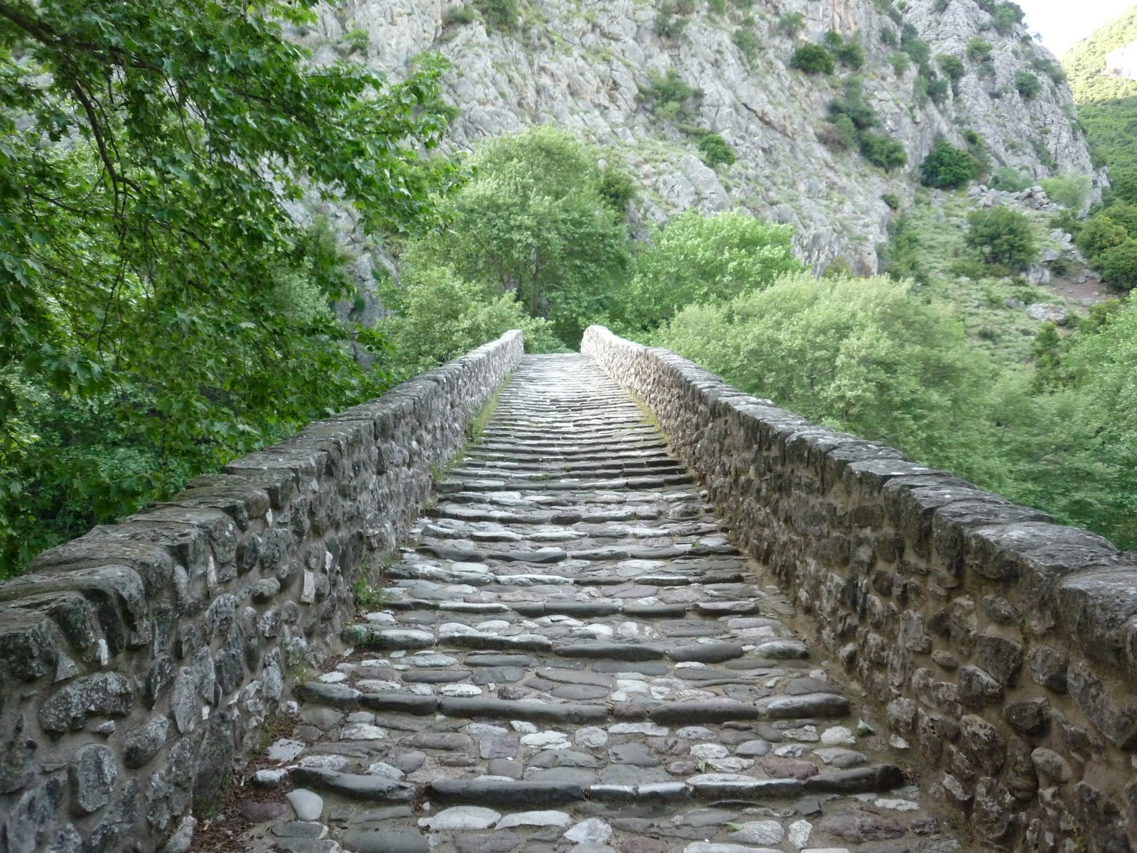 [P1040805.JPG]