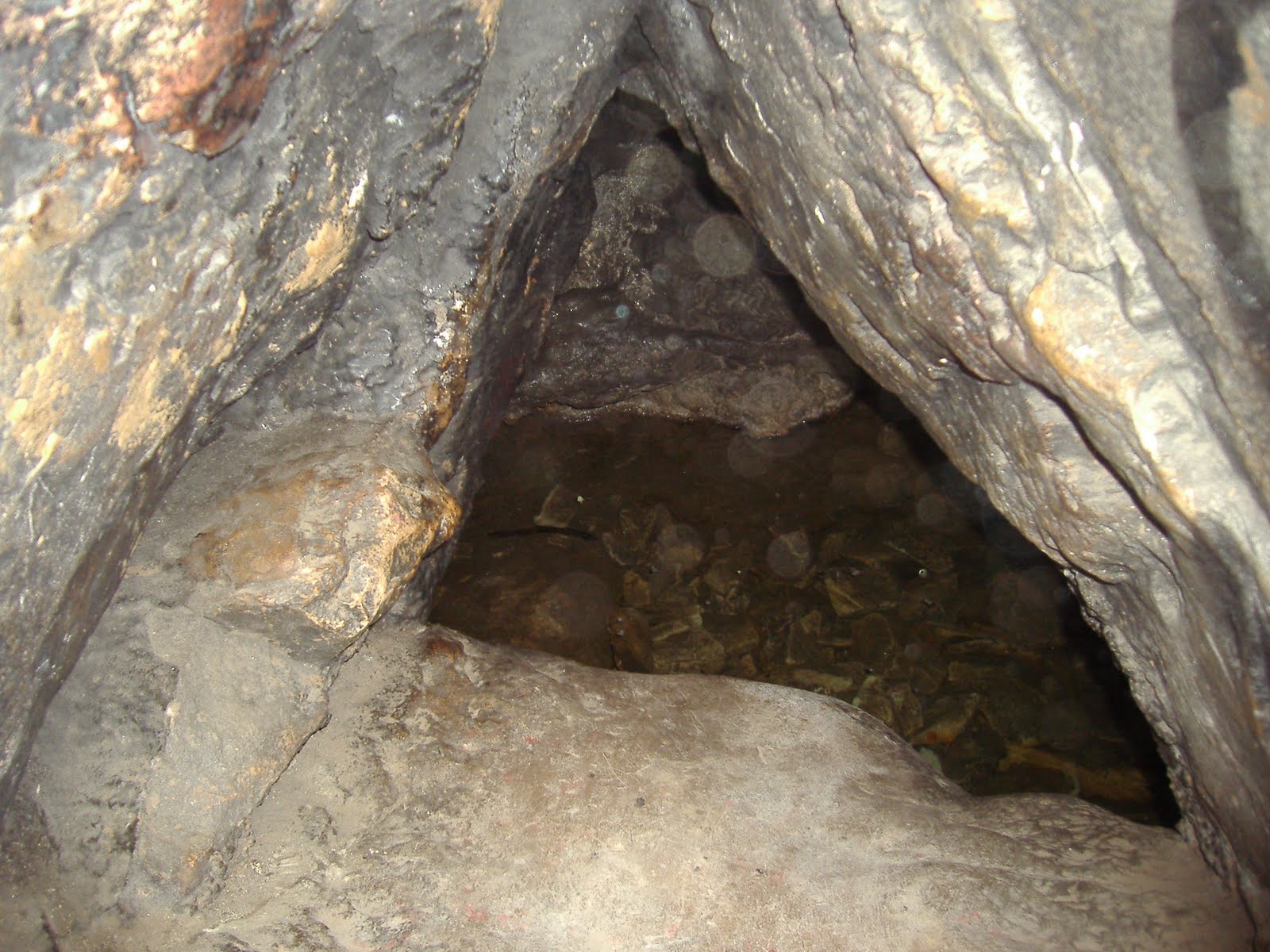 [P9293750.JPG]