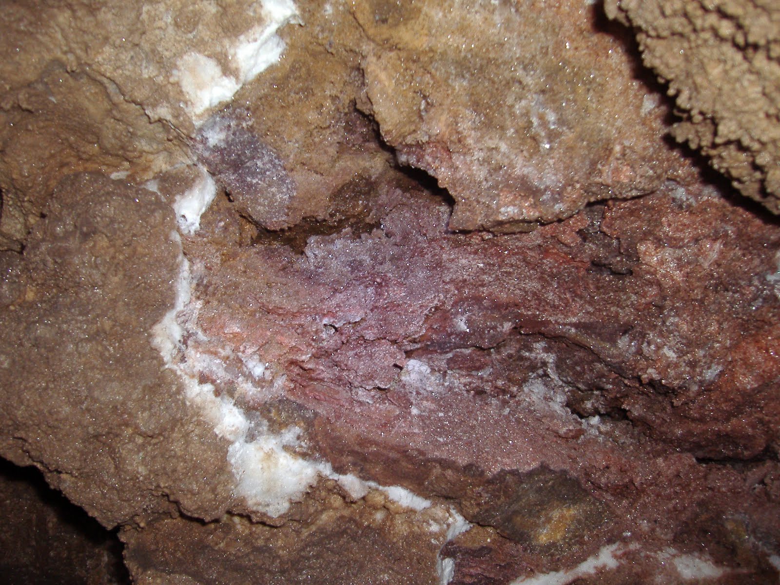 [P9293741.JPG]
