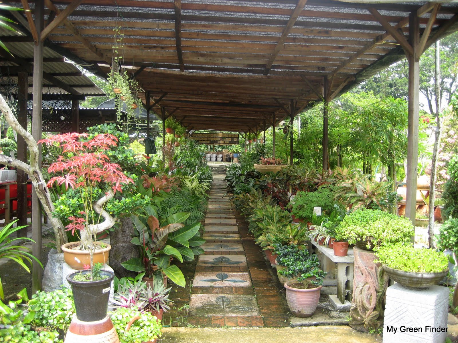 My Green Finder Plant Vendors Katsura Garden Water Feature Garden Mart