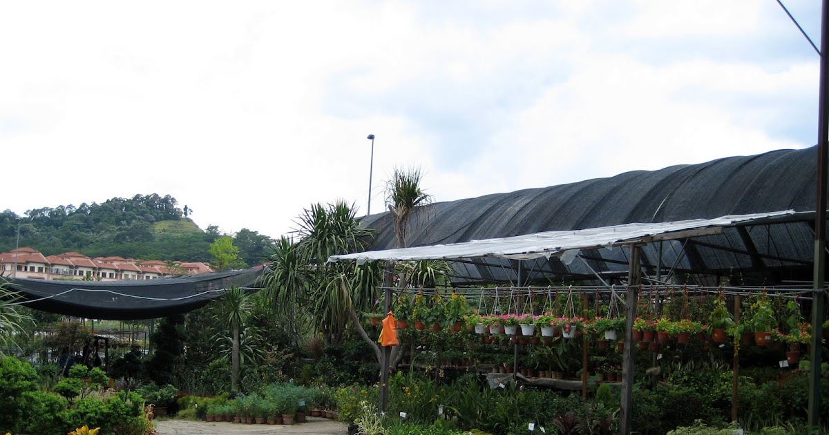 MY GREEN FINDER Plant Vendors Potters Garden