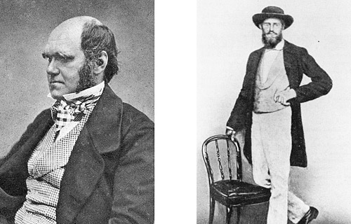 charles darwin and alfred wallace