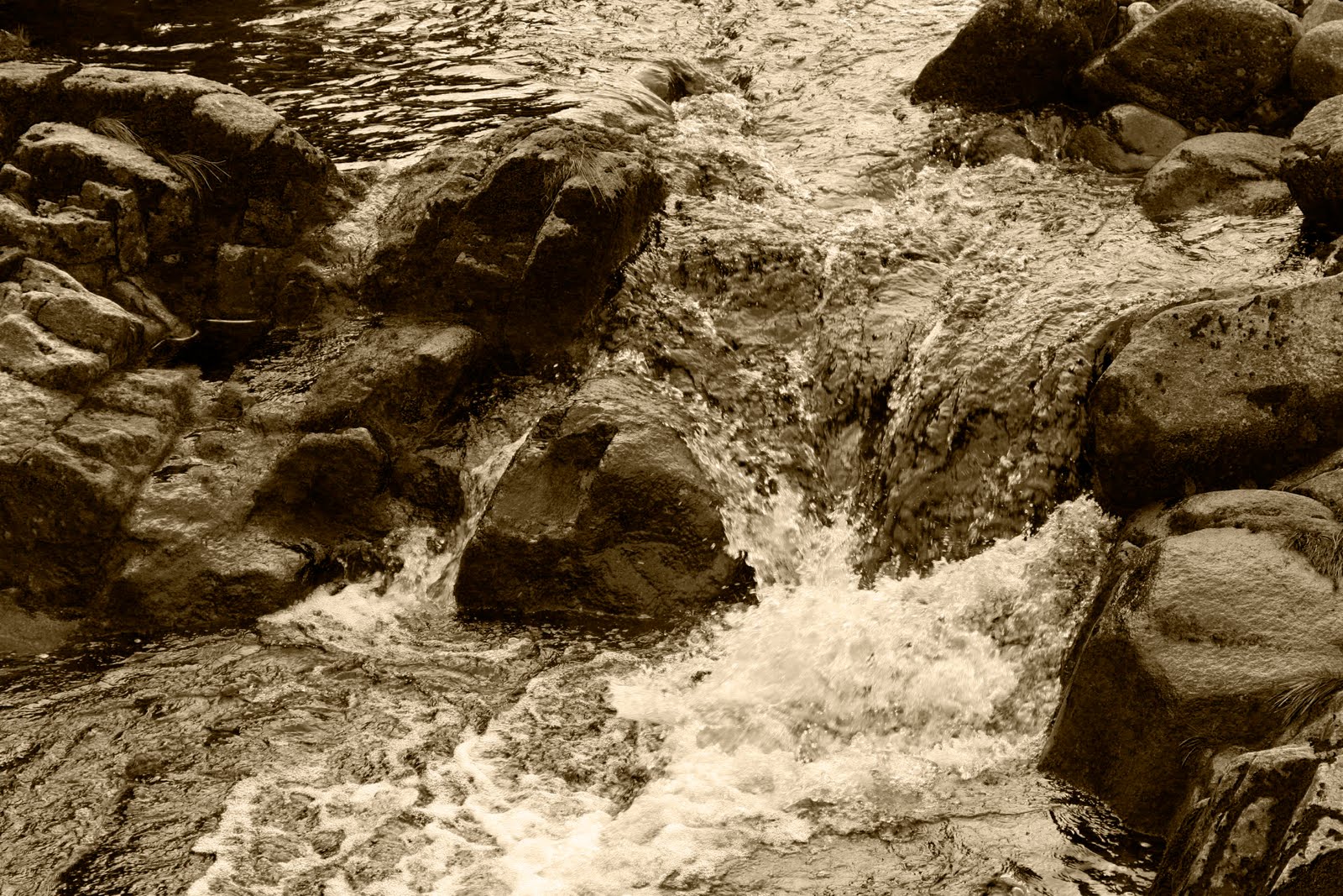 Caroline's Thoughts and Photography Experments with Sepia and Black