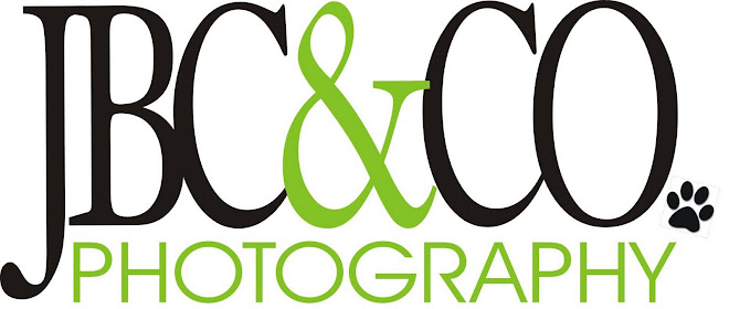 JBC & CO PHOTOGRAPHY